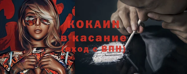 PSILOCYBIN Горняк