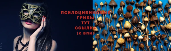 PSILOCYBIN Горняк