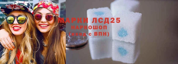 PSILOCYBIN Горняк