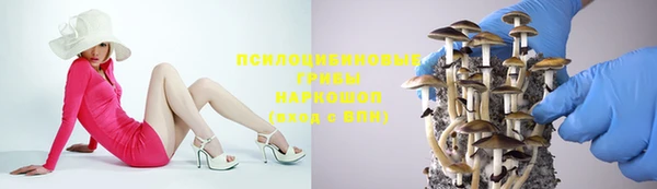 мяу мяу мука Горнозаводск