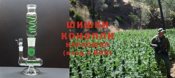 PSILOCYBIN Горняк