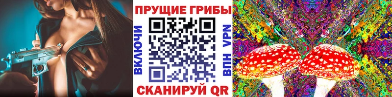 нарко площадка наркотические препараты Кисловодск Галлюциногенные грибы GOLDEN TEACHER